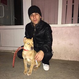 Hovo, , 40 