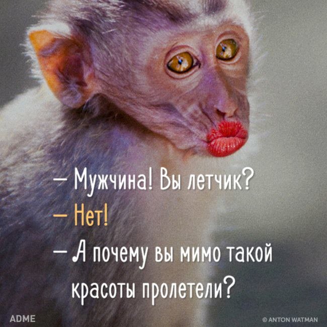 ����� - 2 ����� 2016 � 18:54