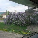 ���� ������� �������, ��������, 58 ��� - ��������� 17 ������ 2016 � ������ ���� ����������