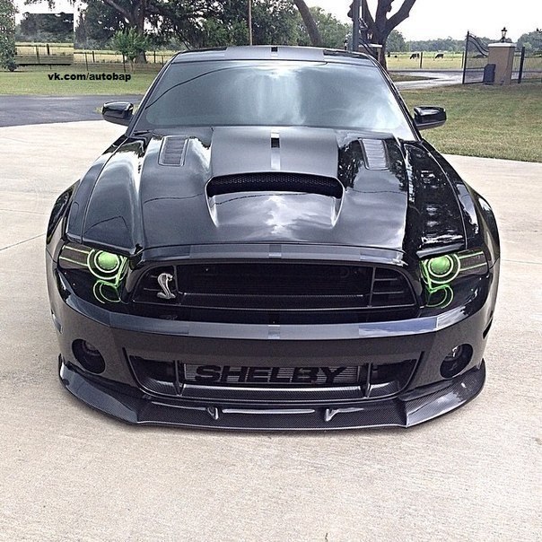 Shelby GT500. - 4