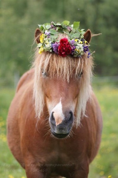  - 7  2016  05:34 - 9