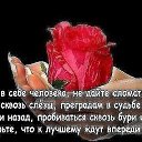 ���� �������, ����� - ��������� 6 ������� 2015 � ������ ���� ����������