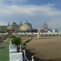 �����, ������������, 41 ���