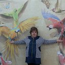 ���� ����, �������, 55 ��� - ��������� 19 ������� 2015 � ������ ���� ����������