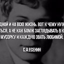 ���� ���������, ���������, 41 ��� - ��������� 15 ������� 2015 � ������ ������ ��������