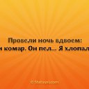 ���� ***����***, ��������� - ��������� 2 ������� 2015 � ������ ������ �������ɻ