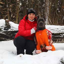 ����, ������, 51 ���