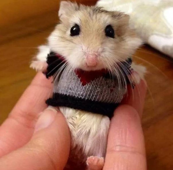 :3