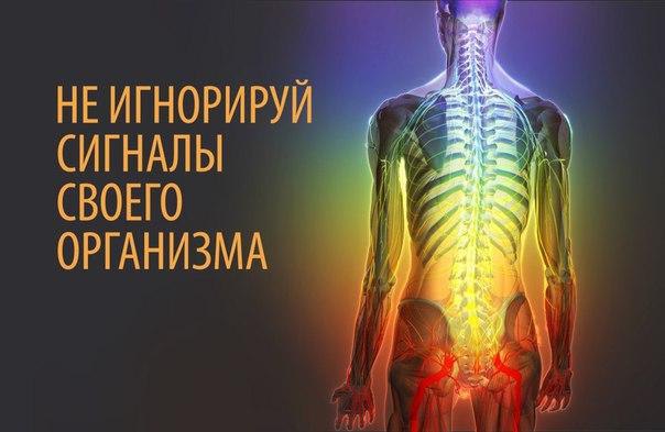 НАШ ОРГАНИЗМ И ЕГО СИГНАЛЫ.Врачи уверены, что в нашем организме «вдруг» ничего не бывает. И даже ...