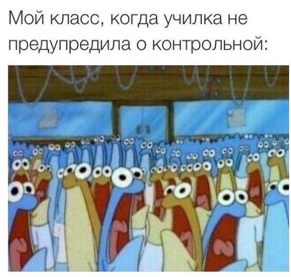  - 10  2015  15:38