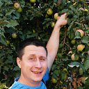 ���� ������� �����, ������, 50 ��� - ��������� 17 ������� 2015 � ������ ���� ����������