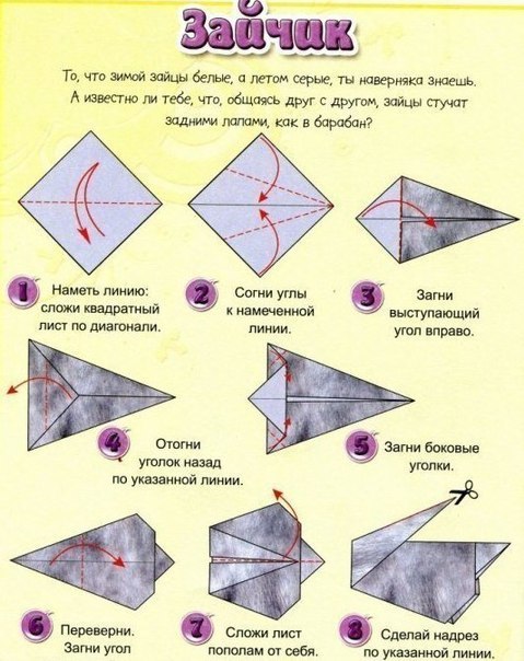 ������� ��� ����� - 5