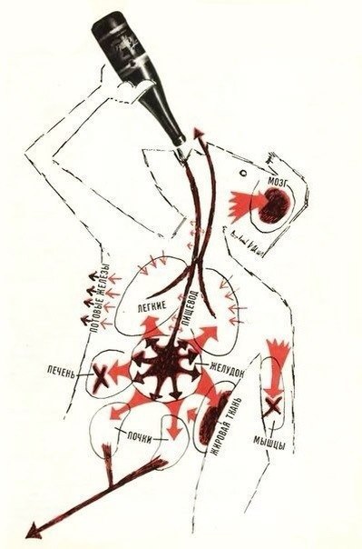  .(Science-Fact)  ,   .      ...