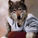 ���� �����, ����� �������, 40 ��� - ��������� 4 ������� 2015