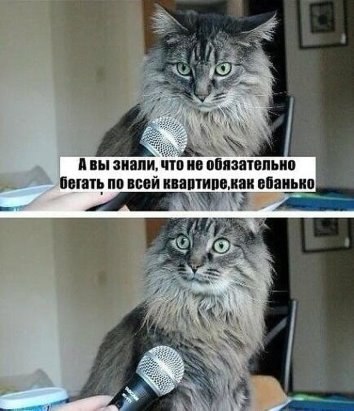 ***Victoria Viktorovna*** - 23  2016  12:48