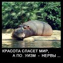 ���� Gad�, ������ - ��������� 7 ������� 2015 � ������ ���� ����������