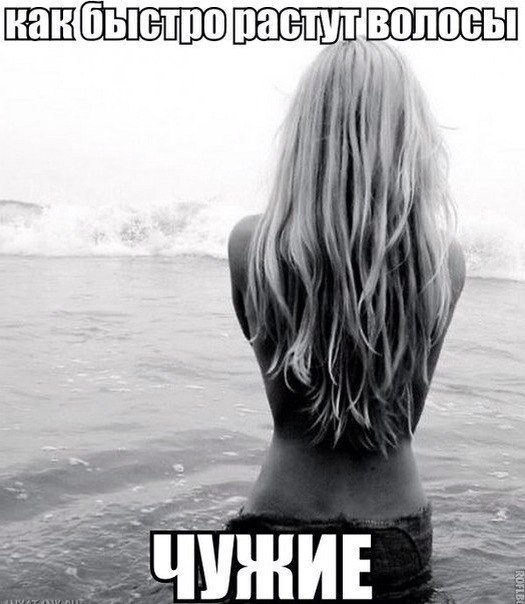   |  |  - 28  2015  20:02
