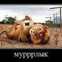 ���� ������, ������, 46 ��� - ��������� 27 ������� 2015 � ������ ���� ����������