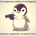���� ���� �����, ����, 23 ���� - ��������� 17 ������� 2015 � ������ ������ ��������