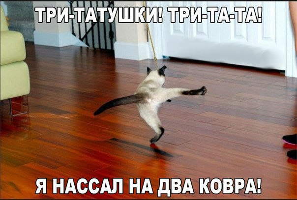   - 10  2015  07:32