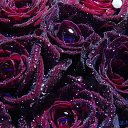 ���� �����, �����-��������� - ��������� 5 ������� 2016 � ������ ���� ����������