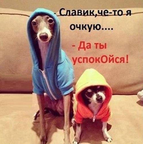     - 10  2015  20:32