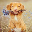 ���� �������_mazdadel, ������������ - ��������� 14 ������� 2016 � ������ ������ ��������