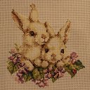 ���� �����, �����-��������� - ��������� 9 ������� 2015 � ������ ���� �����