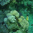  , , 59  -  16  2015    Ż