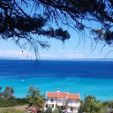  Svetlana, , 59  -  18  2015    2014 