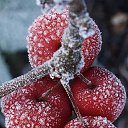  ••,  -  15  2015   