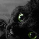 ���� Viktor, ����� - ��������� 15 ������ 2016 � ������ ������ ��������