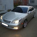 ���� �����, ����, 36 ��� - ��������� 3 ������� 2015 � ������ ���� ����������