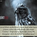 ���� Suat, ������, 68 ��� - ��������� 10 ������� 2016 � ������ �BJK�