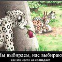 ���� �������, �������� - ��������� 17 ������ 2015 � ������ ���� ����������