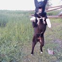 ���� �������, �������, 53 ���� - ��������� 15 ������� 2015 � ������ ���� ����������