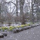 ���� ������, �������, 50 ��� - ��������� 22 ������� 2015 � ������ ���� ���� ������