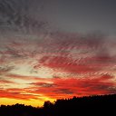 ���� �����, �����, 64 ���� - ��������� 12 ������� 2015 � ������ �"��������" �������� (1.10.2015)�