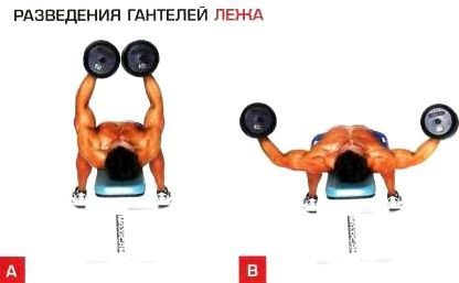 ТРОЙНОЙ УДАР! Программа тренировки. Наука изобрела сенсационный метод накачки грудных. Алгоритм ... - 3