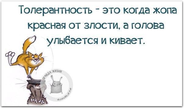   - 10  2016  10:14