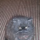 ���� Dark, ������� - ��������� 9 ����� 2016 � ������ ������ ��������