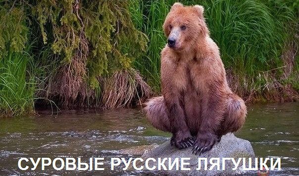 -  - 9  2016  16:18