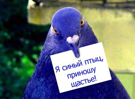   - 20  2015  13:39