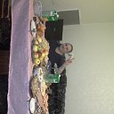 ���� �������, ������, 48 ��� - ��������� 29 ������ 2016 � ������ ���� ����������