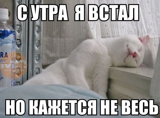       - 5  2015  16:30