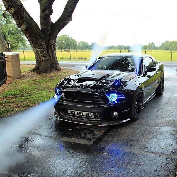 Shelby GT500. - 2