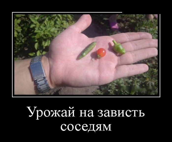 �������� - 19 ������ 2015 � 08:48