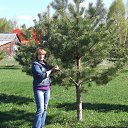 ���� �������, ������, 59 ��� - ��������� 11 ������ 2015