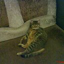 ���� �����, �������, 55 ��� - ��������� 12 ������ 2016 � ������ ���� ����������