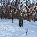  Olga,  -  9  2015   